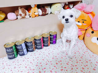 [펫토리아] 한캔뚝딱 강아지 주식캔 12종 콤보 — 5점을 준 리뷰어가 2019년 8월 올린 사용 사진