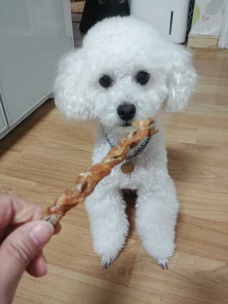 [펫토리아] 뚝딱뚝딱 400g 강아지 간식 베스트5종 — 5점을 준 리뷰어가 2019년 1월 올린 사용 사진