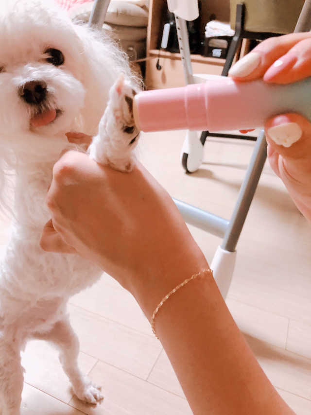보드레밤 리뷰 사진