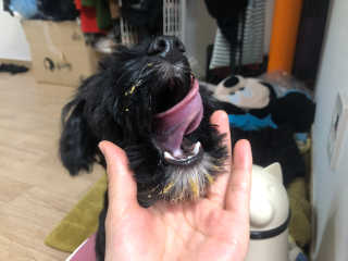 유짱님이 올린 리뷰 사진 3
