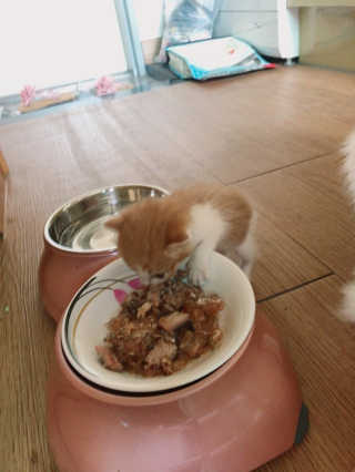 백여인님이 올린 리뷰 사진 4