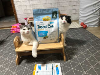 cobemom님이 올린 리뷰 사진 1