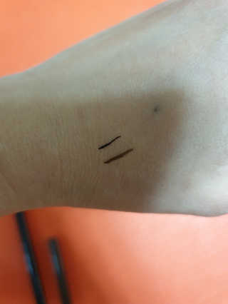 비키님님이 올린 리뷰 사진 3