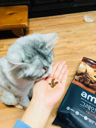 도토밤님이 올린 리뷰 사진 2