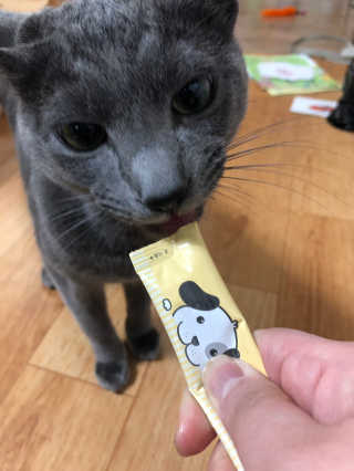 [펫토리아] 강아지,고양이겸용 짜먹는 한입뚝딱 — 5점을 준 리뷰어가 2019년 1월 올린 사용 사진
