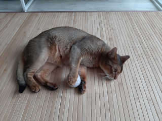 꽁스님이 올린 리뷰 사진 4