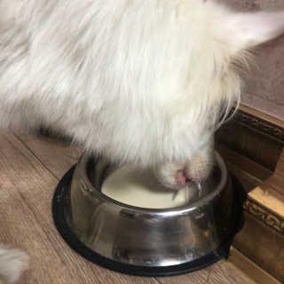 나경뿌님이 올린 리뷰 사진 2