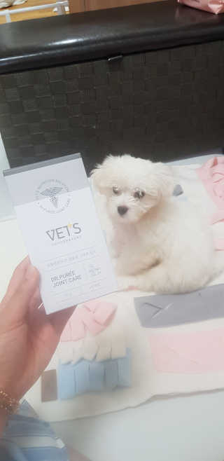 에스힐드님이 올린 리뷰 사진 2