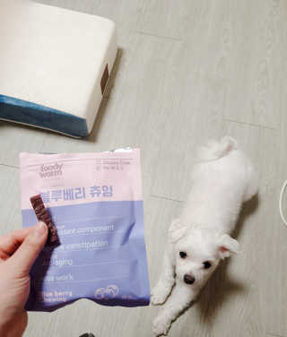 푸디웜 주식회사 [푸디웜] 강아지 저알러지 수제간식 3종세트 — 5점을 준 리뷰어가 2019년 2월 올린 사용 사진