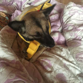 옥지짱님이 올린 리뷰 사진 4