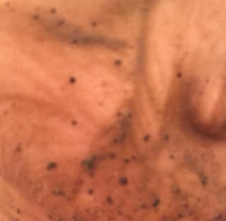 탄이엄마님이 올린 리뷰 사진 4