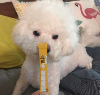 갱스님이 올린 리뷰 사진 1