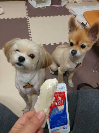 시유예린님이 올린 리뷰 사진 2