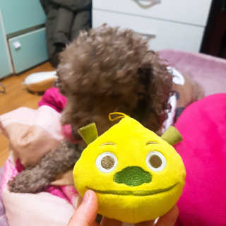 이예림님이 올린 리뷰 사진 1