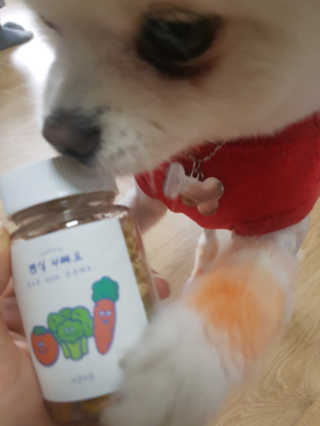 솜솜님이 올린 리뷰 사진 3