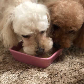 규빈띵쏘님이 올린 리뷰 사진 4