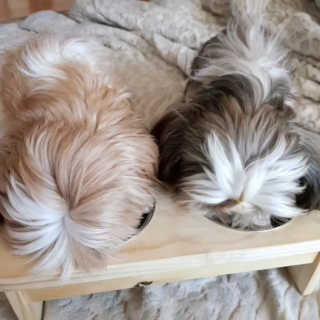 민준맘님이 올린 리뷰 사진 2