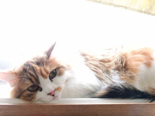 nothing님이 올린 리뷰 사진 3