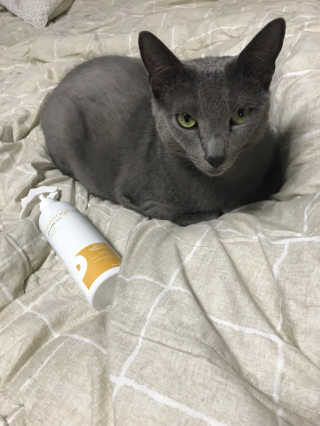 고니고니걸걸님이 올린 리뷰 사진 2