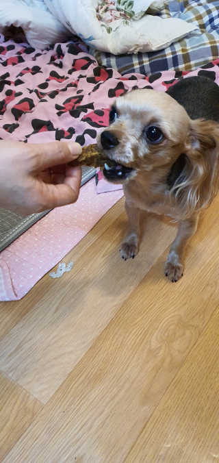 달콩마녀님이 올린 리뷰 사진 3