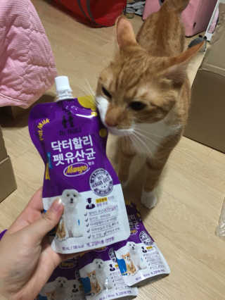 밍밍이이잉님이 올린 리뷰 사진 1