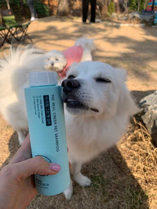 heemaelee님이 올린 리뷰 사진 2