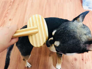 뽀라님이 올린 리뷰 사진 2
