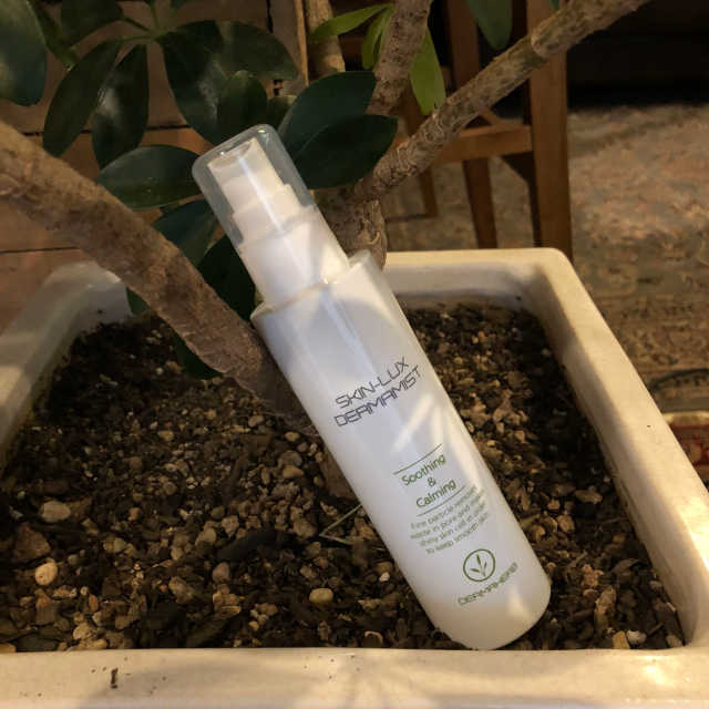 [더마허브] 스킨룩스 더마미스트 150ml 리뷰 사진