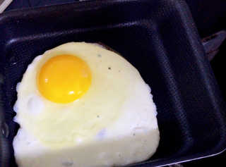 시작님이 올린 리뷰 사진 2
