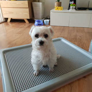 도치님이 올린 리뷰 사진 1