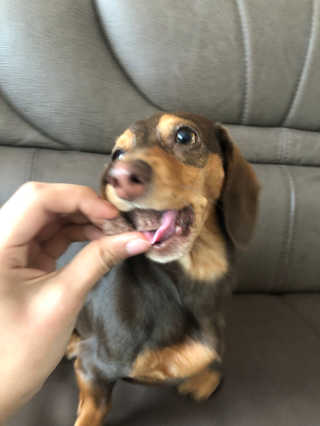 밍라맘님이 올린 리뷰 사진 2