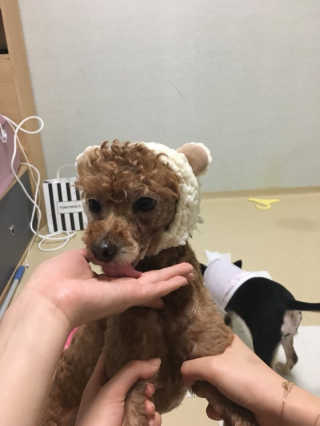 ye0229님이 올린 리뷰 사진 1