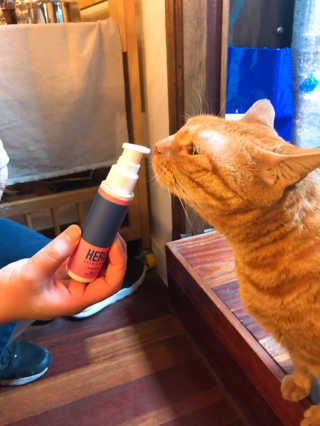 히지a님이 올린 리뷰 사진 2
