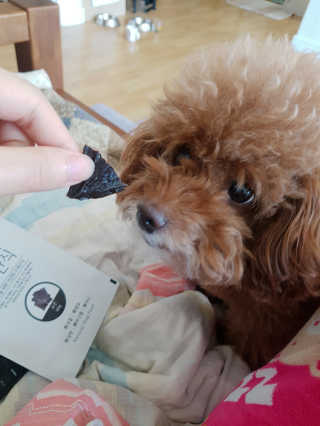 코밍쏭님이 올린 리뷰 사진 3