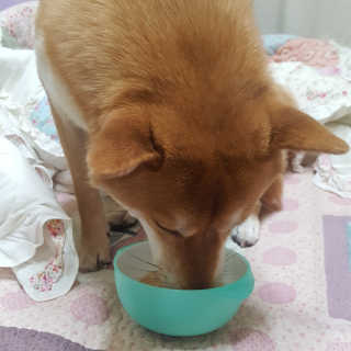 스블리님이 올린 리뷰 사진 3