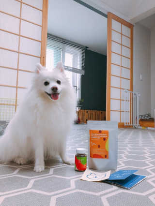 [어글어글] 반려견 친환경 간식 9종 세트 — 4점을 준 리뷰어가 2019년 7월 올린 사용 사진