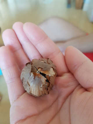 정신무역 티베트 히말라야 샹그릴라 통흑마늘 250g — 5점을 준 리뷰어가 2020년 3월 올린 사용 사진