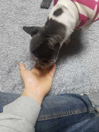 꼰똘잉님이 올린 리뷰 사진 2