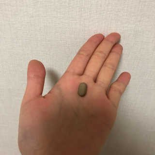 네츄럴굿띵스 퓨어 락토 철분 60일분 — 4.67점을 준 리뷰어가 2018년 1월 올린 사용 사진