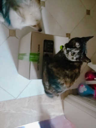 HajinLee님이 올린 리뷰 사진 3