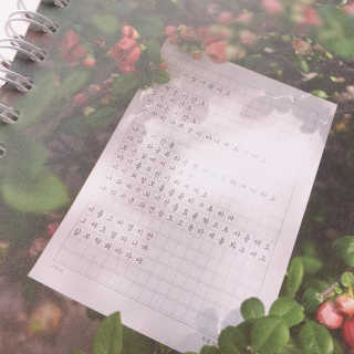 소신인생님이 올린 리뷰 사진 2