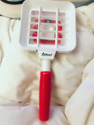 윤이잉님이 올린 리뷰 사진 3