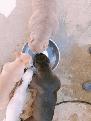 갓수진님이 올린 리뷰 사진 3