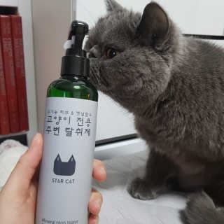 제트님이 올린 리뷰 사진 1