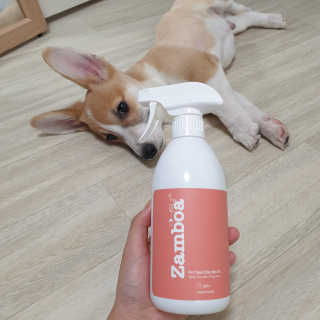 진이맘님이 올린 리뷰 사진 1
