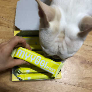 불독키우는개엄마❤️님이 올린 리뷰 사진 3