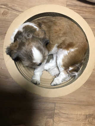 니니언니님이 올린 리뷰 사진 2