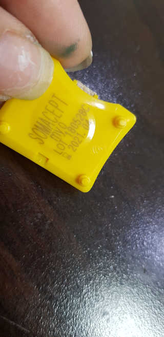 이영실님이 올린 리뷰 사진 2