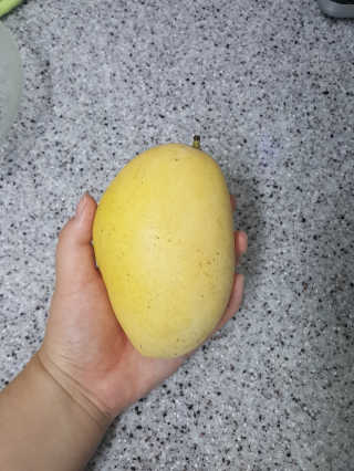 아옹와옹님이 올린 리뷰 사진 2