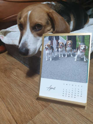 beaglelove님이 올린 리뷰 사진 1
